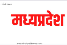Dog Kids:पिल्लों की पूंछ और कान काटकर खा गए शराबी दोस्त Dog Kids:पिल्लों की पूंछ और कान काटकर खा गए शराबी दोस्त