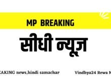 Sidhi News: पुलिस अधीक्षक ने हरी झंडी दिखाकर किया रवाना Sidhi News: पुलिस अधीक्षक ने हरी झंडी दिखाकर किया रवाना