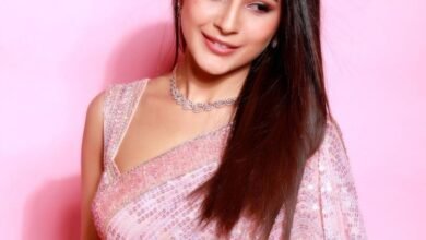 शहनाज गिल फिर आई खबरों में : विक्की कौशल को कहा कैरेक्टर लेस शहनाज गिल फिर आई खबरों में : विक्की कौशल को कहा कैरेक्टर लेस