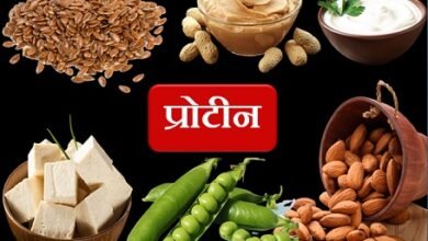 Protein Tips : प्रोटीन का भंडार हैं ये खाद्य-पदार्थ