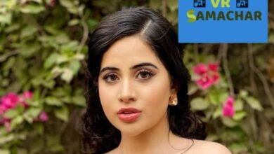 उर्फी जावेद के टॉपलेस लुक ने लोगो को किया मदहोश, वीडियो देख लोगो के छूटे पसीने