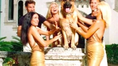 Richest Dog in the World : दुनिया का सबसे अमीर कुत्ता है 655 करोड़ का मालिक, कार से लेकर नौकर-चाकर तक, लाइफस्टाइल देख होगी जलन!