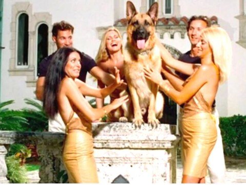 Richest Dog in the World : दुनिया का सबसे अमीर कुत्ता है 655 करोड़ का मालिक, कार से लेकर नौकर-चाकर तक, लाइफस्टाइल देख होगी जलन!