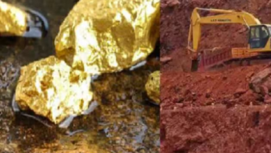 Gold mines: इस राज्य में धरती ने उगला सोना! क्या अब नहीं पड़ेगा प्रदेशवासियों को रोना, जानिए पूरा मामला