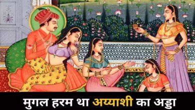 mughal harem stories : मुगल हरम में औरतों की क्या थी इज्जत? अकबर के भाई की ये बात सुनकर खौल उठेगा खून!