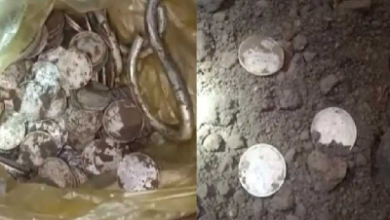 किसान के घर खुदाई में मिला खजाना! PM आवास योजना में बन रहा था मकान तभी धरती उगलने लगी बेशकीमती चीजें, फिर…