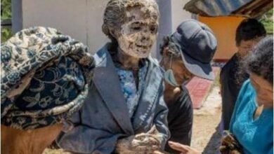 Economic Crisis : 800 रुपये नींबू! लोग नहीं खरीद पा रहे आटा व जरुरी चीजें…