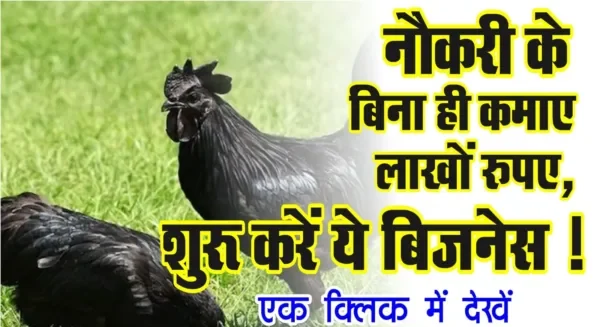 Small Business Idea: नौकरी के बिना ही कमाए लाखों रुपए, शुरू करें ये बिज़नेस, देखे पूरी खबर