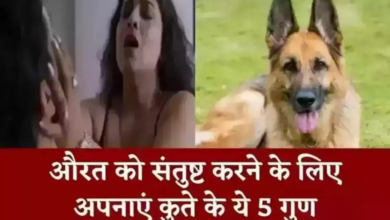 Chanakya Niti: औरत को संतुष्ट करने के लिए अपनाएं कुते के ये 5 गुण, जानें चाणक्य नीति