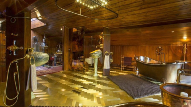 नीता अम्बानी का बाथरूम है दुनिया का सबसे महँगा बाथरूम, बनी हुई इसकी हर एक चीज़ सोने की देखे तस्वीरें