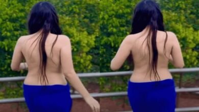 Urfi Zaved: पहले तो सिर्फ बोल्ड फोटो से कहर ढाती थी उर्फी, अब डांस कर के फैंस को कर रही बेकाबू, लोगो ने कहा – काश रोज़ ऐसे ही…