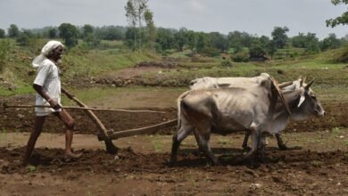 PM KISAN YOJANA: लो जी किसानों की हुई चांदी, सरकार ने किस्त की राशि में की चौंकाने वाली बढ़ोतरी!