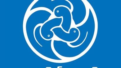 Big change in NCERT books : NCERT की किताबों में हुआ बड़ा बदलाव, इतिहास में कितने बचे मुग़ल