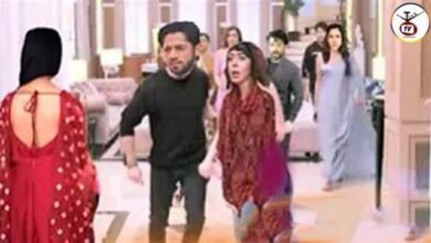 Kundali Bhagya 26 May Written Update: शौर्य ने पलकी की शादी में किया खूब तमाशा, और बहुत बेज़्ज़ती की पलकी की