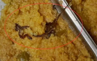 Snake in Mid Day Meal : सरकारी स्कूल के 100 से ज्यादा बच्चे बीमार, मिड डे मील में निकला सांप, मचा हड़कंप Snake in Mid Day Meal : सरकारी स्कूल के 100 से ज्यादा बच्चे बीमार, मिड डे मील में निकला सांप, मचा हड़कंप