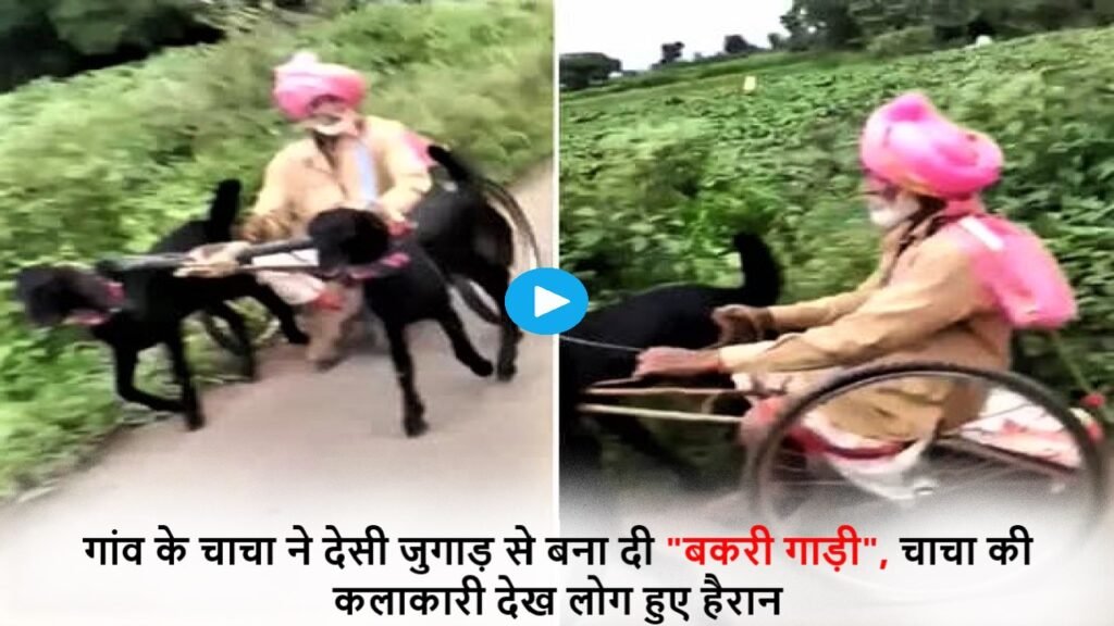 देसी जुगाड़ से चाचा ने तैयार की “बकरी गाड़ी”, इस कलाकारी देख लोग हुए हैरान
