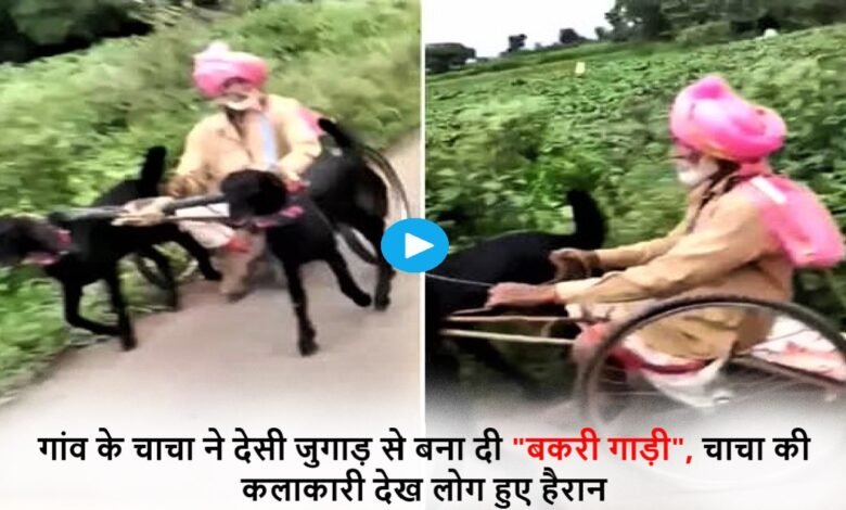 देसी जुगाड़ से चाचा ने तैयार की “बकरी गाड़ी”, इस कलाकारी देख लोग हुए हैरान