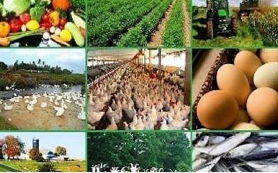 Business Ideas: काम की तलाश में छोड़िए शहर जाने का झंझट, गांव में रहकर शुरू करें ये बिजनेस, होगा बंपर मुनाफा!