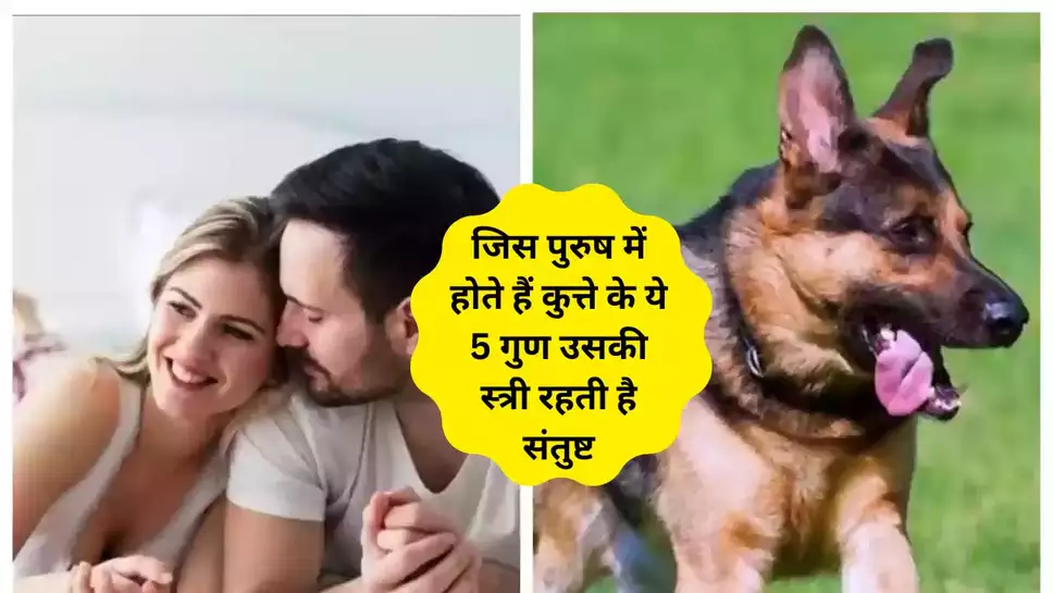 अगर आपके अंदर है कुते के ये 5 गुण, पत्नी रहेगी हमेशा खुश