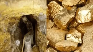 जमीन से केसे निकाला जाता हैं सोना ? सोना जमीन के निचे है या नहीं कैसे होती हैं खोज?