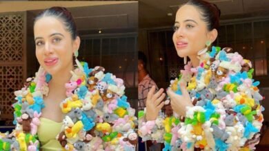 URFI NEW DRESS: उर्फी जावेद का नया लुक हुआ वायरल, ड्रेस  देख लोगों के भी उड़े  होश, कहा – आप हॉट और क्यूट दोनों ही दिख रही