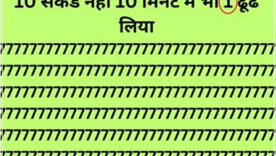 इस optical illusion में 10 सेकंड नहीं 10 मिनट में भी 1 ढूंढ लिया, तो तलवार से भी तेज है आपकी नजर