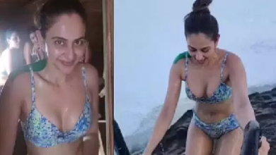 15 डिग्री में आग लगाती रकुल प्रीत सिंह, हॉटनेस से बढ़ा इंटरनेट का पारा, देखें वीडियों…
