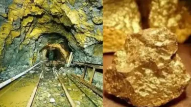 नीलाम की सोने की खदान, पढ़े सोना खनन का इतिहास