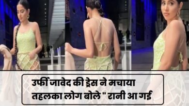 Urfi Javed : उर्फी जावेद की ड्रेस ने मचाया तहलका लोग बोले ” रानी आ गई