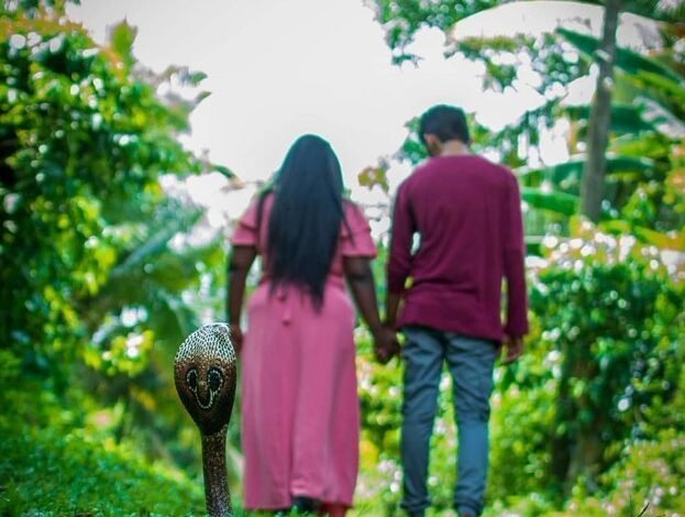 Couple pre-wedding photoshoot with Naag snake : “नाग मिलाए जोड़ी” पहले कभी नहीं देखा होगा ऐसा ‘प्री-वेडिंग फोटोशूट’, नाग सांप ने बना दी इनकी जोड़ी और शुरू हो गई लव स्टोरी