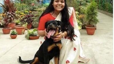 IAS Divya Loganathan : IAS अफसर ने दिया सफल होने का मुल मंत्र! UPSC परीक्षा में इन टॉपिक्स से बार-बार घुमाकर दिए जातें हैं सवाल,