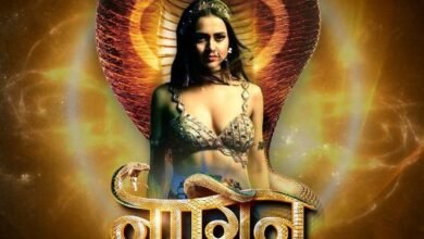 Naagin 6 : नागिन 6 में आया जबरदस्त ट्विस्ट, टीवी के इस सुपरस्टार की एंट्री से मचेगा धमाल, दर्शकों को मिलेगा मनोरंजन का फुल डोज