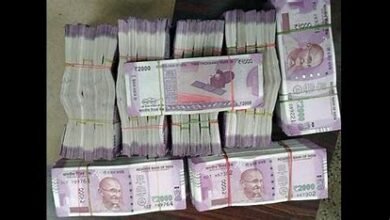 Business Idea: आप भी कम निवेश में तगड़ा मुनाफा कमाना चाहते है, तो शुरू करे ये खास बिजनेस होगी लाखो की कमाई