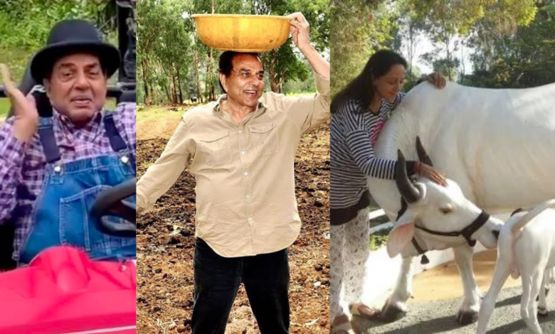 धर्मेंद्र करोड़ों की सम्पति होने के बावजूद भी दूर इस जंगल में बिता रहे अपना बुढ़ापा, पत्नी हेमा तो निकाल रही है यहाँ गाय का दूध देखे ये तस्वीरें धर्मेंद्र करोड़ों की सम्पति होने के बावजूद भी दूर इस जंगल में बिता रहे अपना बुढ़ापा, पत्नी हेमा तो निकाल रही है यहाँ गाय का दूध देखे ये तस्वीरें