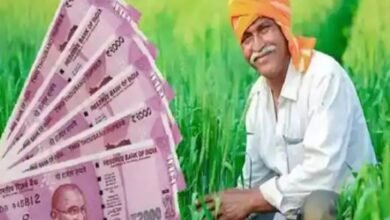 अब किसानों के खाते में आयेगे 1 लाख रुपये , इस तरह मिलेगे ये पैसे अब किसानों के खाते में आयेगे 1 लाख रुपये , इस तरह मिलेगे ये पैसे