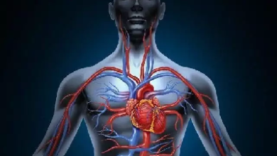 Good Health : इन चीजों के सेवन से खुल जाती हैं शरीर की नसें! सेहत पर पड़ता है कमाल का असर, दिनचर्या में तुरंत करें शामिल! Good Health : इन चीजों के सेवन से खुल जाती हैं शरीर की नसें! सेहत पर पड़ता है कमाल का असर, दिनचर्या में तुरंत करें शामिल!