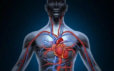 Good Health : इन चीजों के सेवन से खुल जाती हैं शरीर की नसें! सेहत पर पड़ता है कमाल का असर, दिनचर्या में तुरंत करें शामिल! Good Health : इन चीजों के सेवन से खुल जाती हैं शरीर की नसें! सेहत पर पड़ता है कमाल का असर, दिनचर्या में तुरंत करें शामिल!