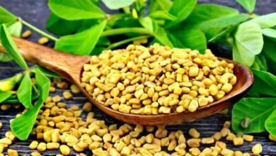 Methi Benefits: आप भी है डायबिटीज से परेशान तो अपने खाने में शामिल करे मेथी Methi Benefits: आप भी है डायबिटीज से परेशान तो अपने खाने में शामिल करे मेथी