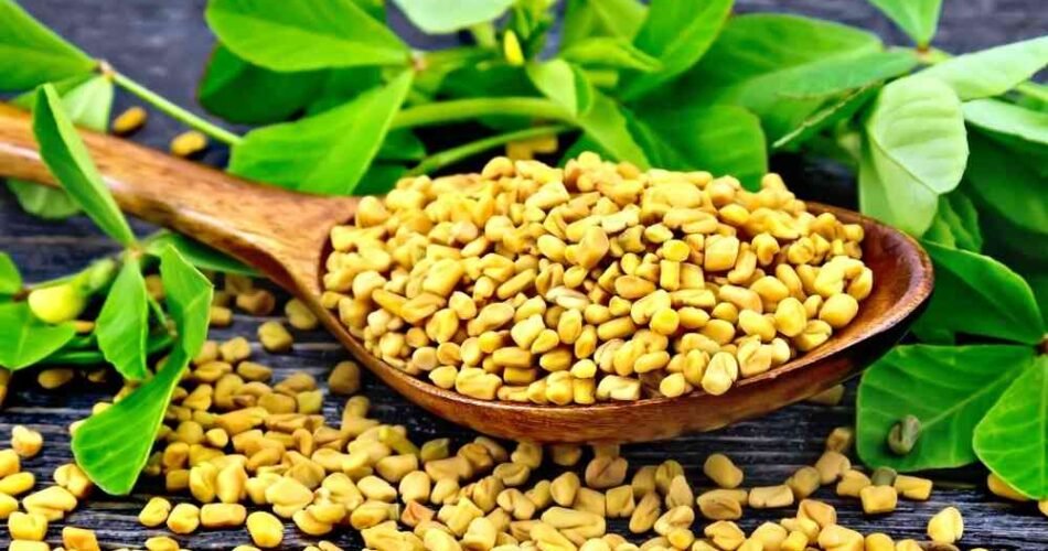 Methi Benefits: आप भी है डायबिटीज से परेशान तो अपने खाने में शामिल करे मेथी