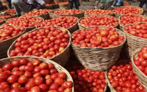Tomato-Ginger Price Hike : तेज रफ़्तार से बढ़ रहा अदरक और टमाटर के दाम, सिर्फ 15 दिन के अंदर ही आसमान छूने लगे भाव…