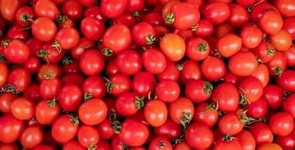 टमाटर के भाव ने तोड़ा नया रिकॉर्ड, UP के इस शहर में 320 रूपए किलो हुआ टमाटर