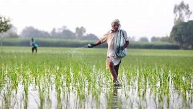 Good News! किसानों को मिल गया तोहफा, अब सरकार दे रही 50 फीसदी सब्सिडी, 15 जुलाई तक करें अप्लाई जाने पूरी जानकारी