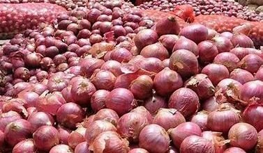 सरकार ने खरीदा 3 लाख टन प्याज, पिछले साल से 20 फीसदी अधिक बफर स्टॉक में