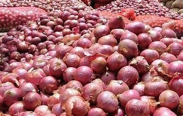 सरकार ने खरीदा 3 लाख टन प्याज, पिछले साल से 20 फीसदी अधिक बफर स्टॉक में