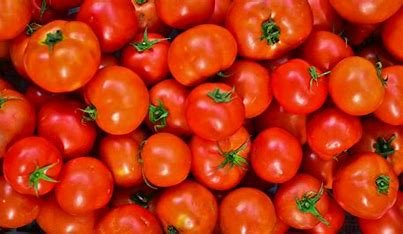 Tomato Price Today: बहुत ज़्यादा सस्ता हो गया टमाटर, केंद्र सरकार अब सिर्फ इतने रुपये में दे रही 1 किलो टमाटर, जाने पूरी जानकारी