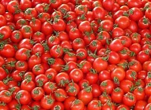 Tomato Price Today: टमाटर आखिकार हो रहा है सस्ता, 2 दिन बाद से मिलेंगे पहले वाले दामों पर, जाने आज का भाव Tomato Price Today: टमाटर आखिकार हो रहा है सस्ता, 2 दिन बाद से मिलेंगे पहले वाले दामों पर, जाने आज का भाव