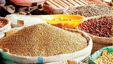 Ration Card: सरकार ने जारी की नई Ration Card लिस्ट, अगस्त में इन लोगों को नहीं मिलेगा राशन का लाभ Ration Card: सरकार ने जारी की नई Ration Card लिस्ट, अगस्त में इन लोगों को नहीं मिलेगा राशन का लाभ