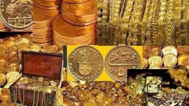 करोड़ों का ‘खजाना’ ! किचन के फर्श के नीचे मिला करोड़ों का खजाना, रातों-रात बन गए करोड़पति