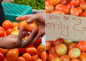 Price of Tomato Today: टमाटर पूरे भारत में महंगा नहीं, इन शहरों में आज भी 25 रुपये प्रति KG बिक रहा जाने पूरी जानकारी