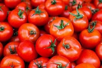 टमाटर की कीमतों में फिर लगी आग, जानें कितना हो गया महंगा, जाने आज का ताजा भाव